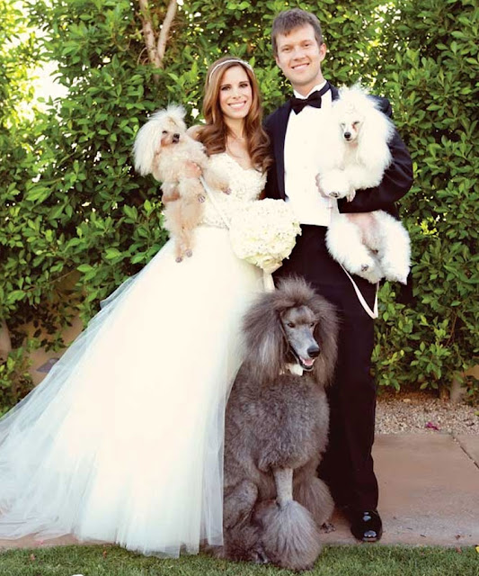 BODAS - PERROS BODAS - PERROS