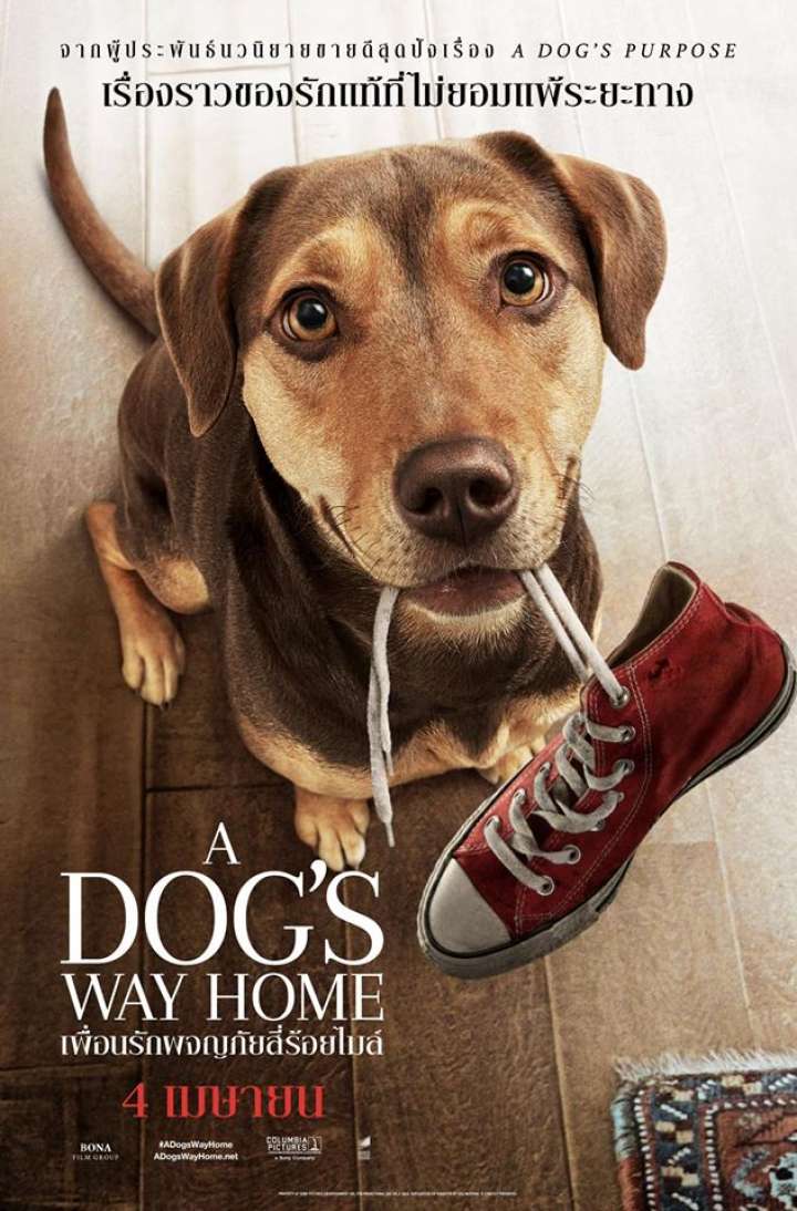 A Dogs Way Home (2019) เพื่อนรักผจญภัยสี่ร้อยไมล์ (ซับไทย)