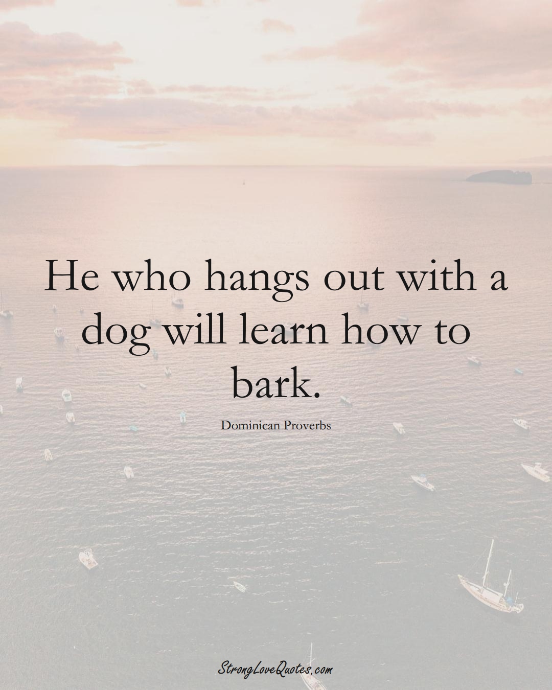 He who hangs out with a dog will learn how to bark. (Dominican Sayings);  #CaribbeanSayings