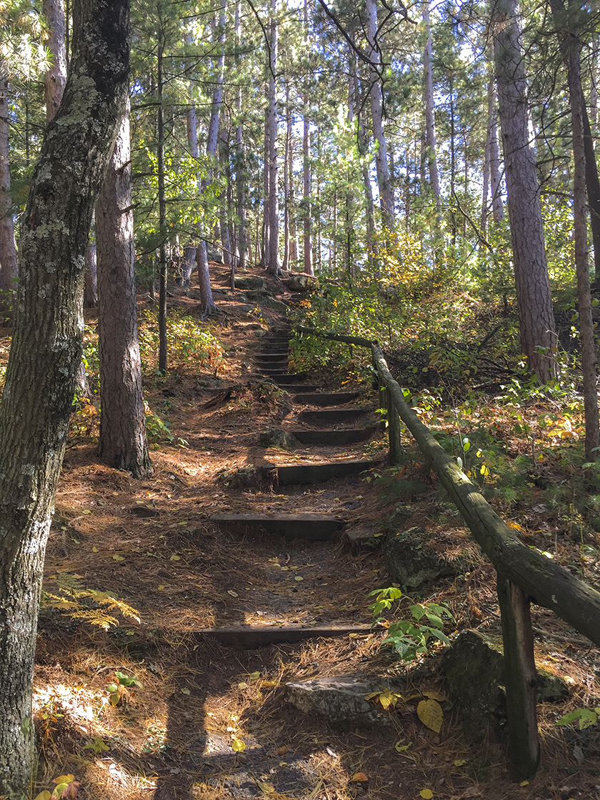 Along the Black River Forest Nature Trail