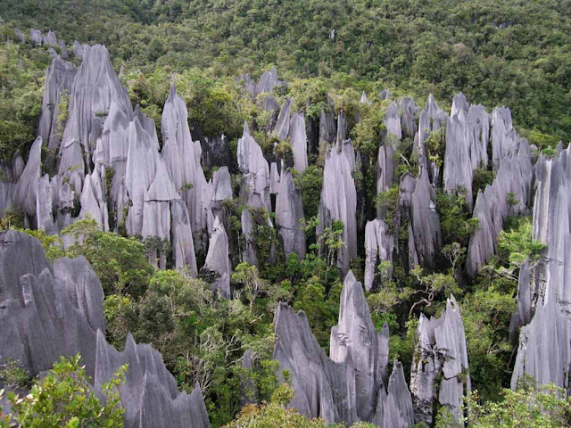 Os pináculos do Monte Mulu – Malásia