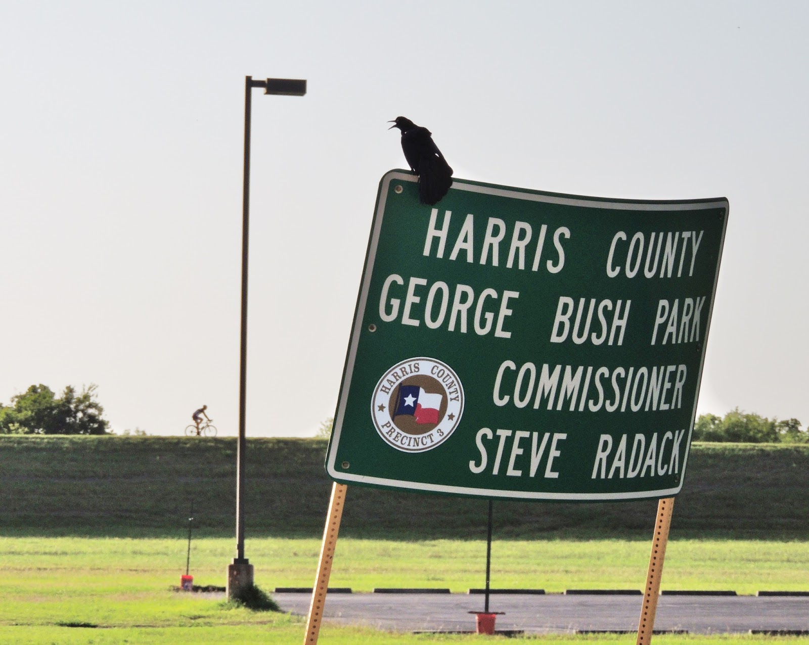HTownWest Photo Blog Westheimer Parkway behind Barker Dam under water