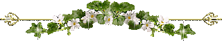 ALLIBORDERSYFRAMES12.gif