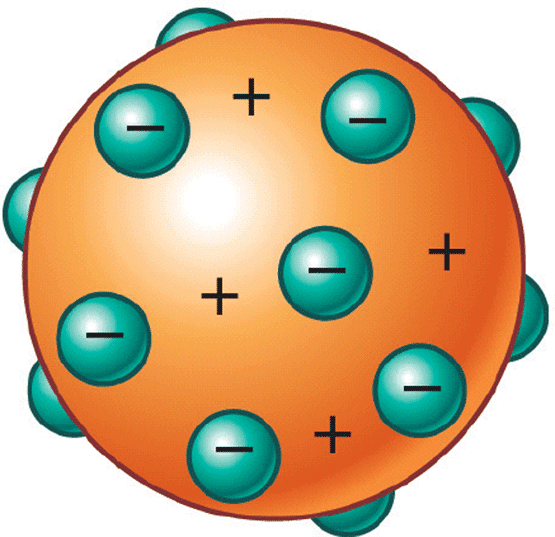 La Mitocondria: La atomoevolución