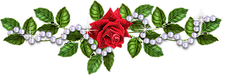 http://1.bp.blogspot.com/-8N12gnBAIh4/UYeietayxnI/AAAAAAAANAM/3mSICfpK04w/s1600/barrarosavermelhasolitaria.gif