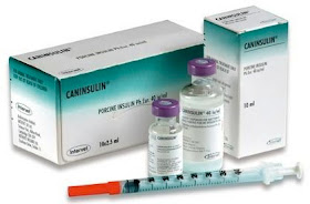 Insights into Veterinary Endocrinology: Q & A: Caninsulin Shortage