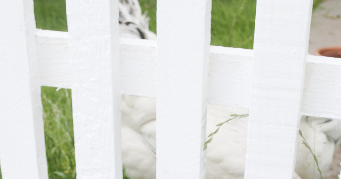 Deko Und Diy Blog Kreative Deko Ideen Fur Ein Schones Zuhause