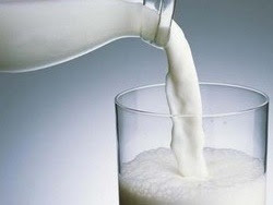 Uống sữa lừa giúp giảm cân?