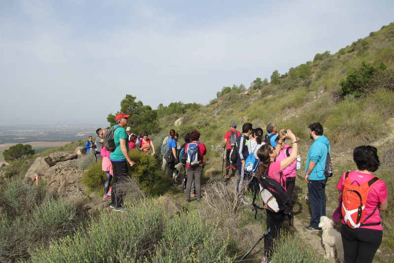 ANIDA Volcán de Cancarix