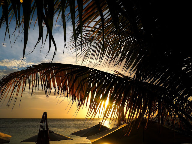 Sunset through palm trees over the ocean, from West Bay Beach, Roatan Island, Honduras