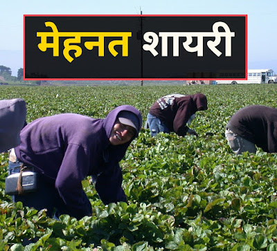 मेहनत पर शायरी मेहनत शायरी