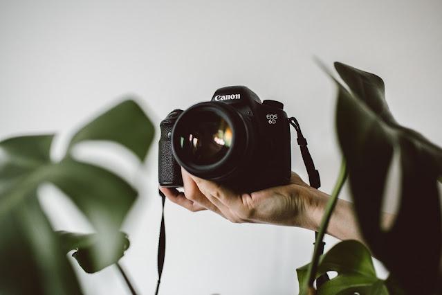 What You Need To Know About Being A Professional Photographer