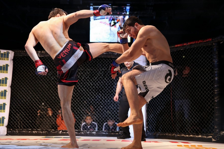 алаш прайд. бой двух команд. алаш прайд. " великая битва ii. битва батыров.