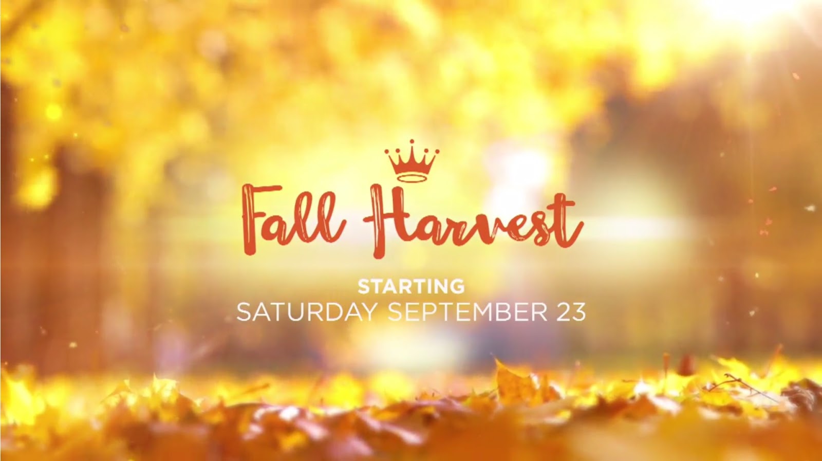Fox and Spice Hallmark's Fall Harvest 2017