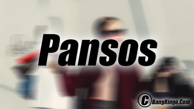 Apa Sih Yang Dimaksud Pansos