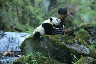trail-panda-movie-lu-pangpang
