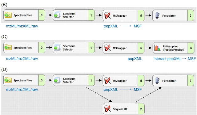 News in Proteomics Research: MSFragger PD-Nodes!