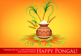 happy pongal festival