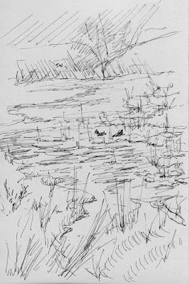 art sketch pen ink nature jordan river parkway