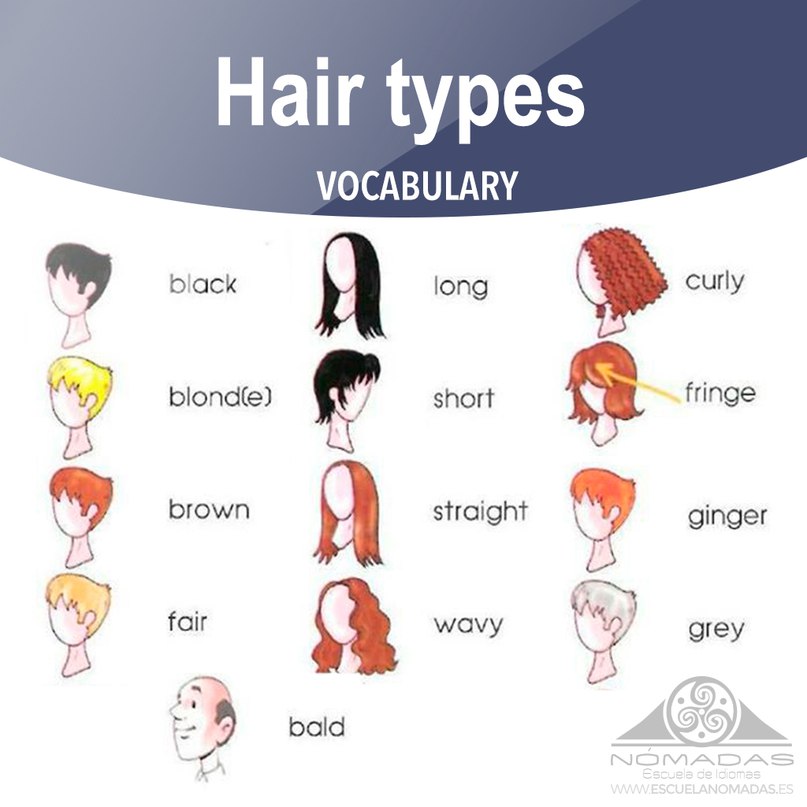 CEPT Practice: Boost your vocabulary about hair