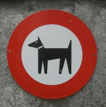 Viewpoints 9: Too much pi: Martha Weighs In