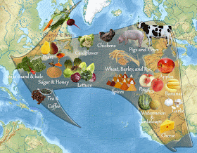 Dejala Columbian Exchange The Trade Of Organisms That Changed