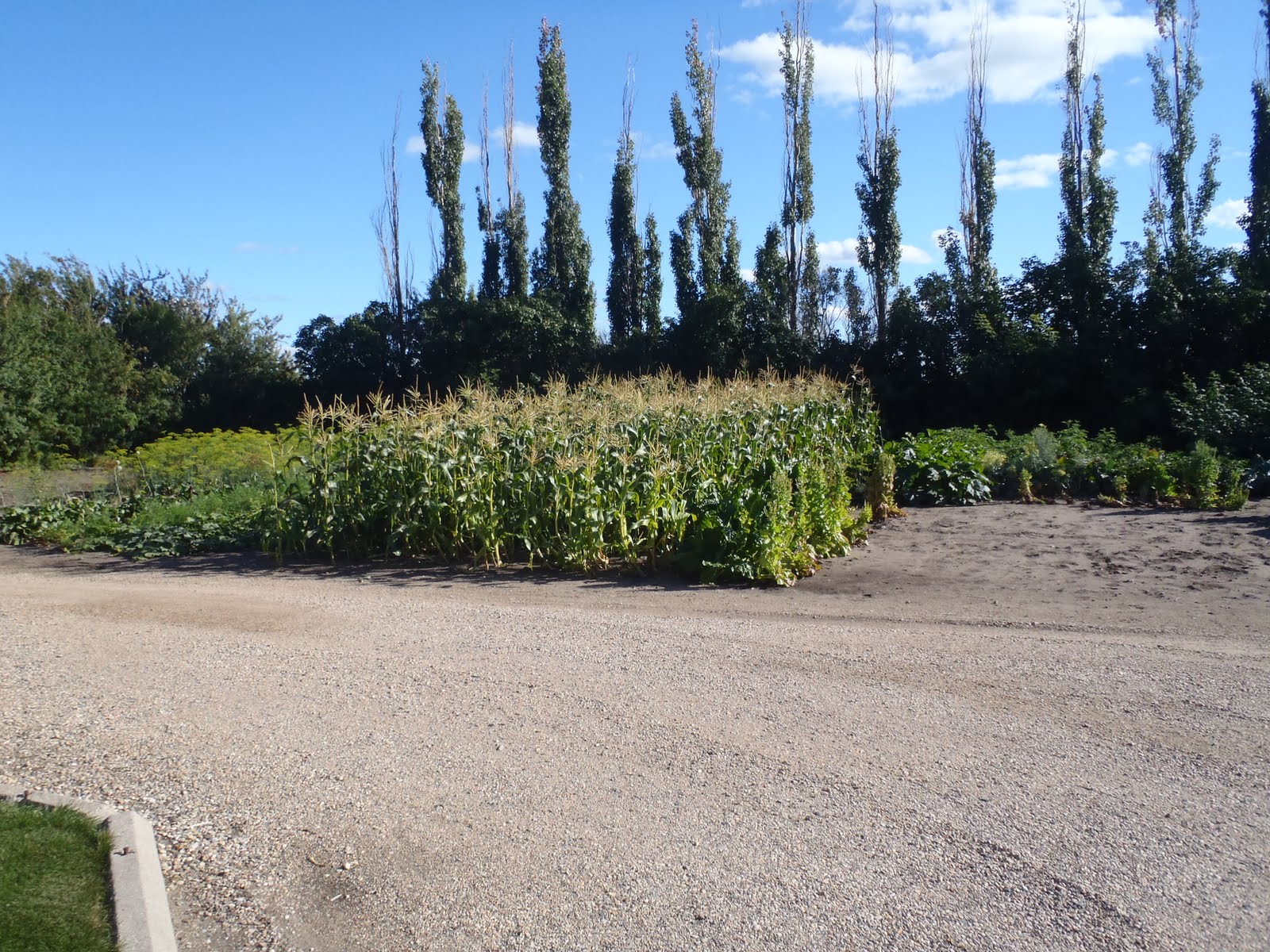 Adventures of a Saskatchewan Girl: Home sweet Saskatchewan home