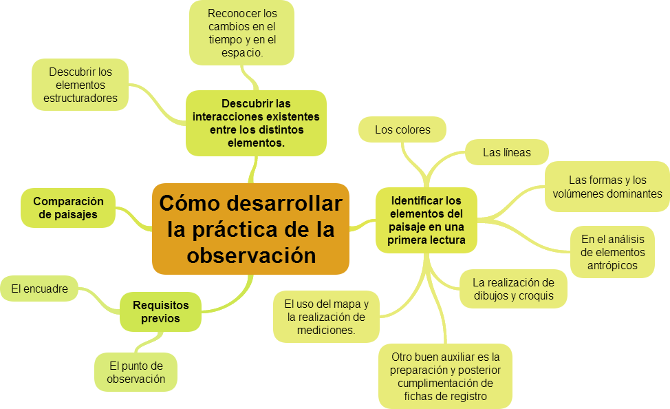 Los paisajes : Cómo desarrollar la práctica de la observación