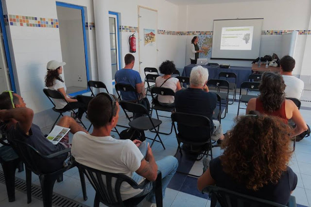 Grupo Local SEO-TINERFE