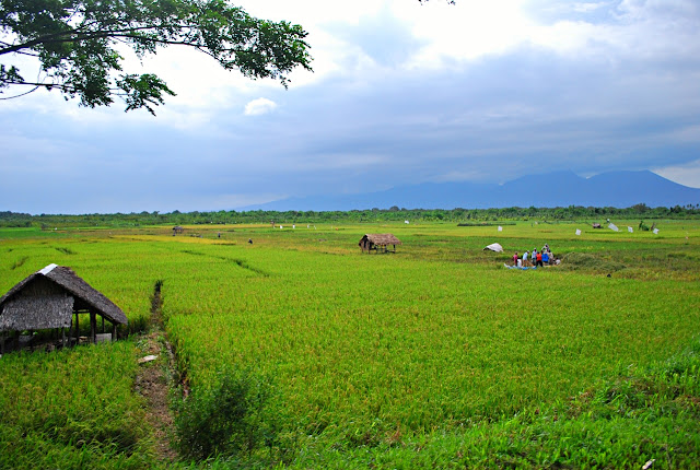 Sorsogon roadtrip with Bam Raguindin