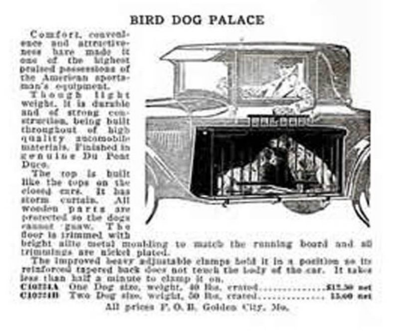 Running Boards Traveling In Cars With Your Dogs In The