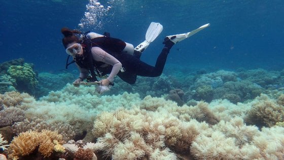 Current Status of the Great Barrier Reef, Australia