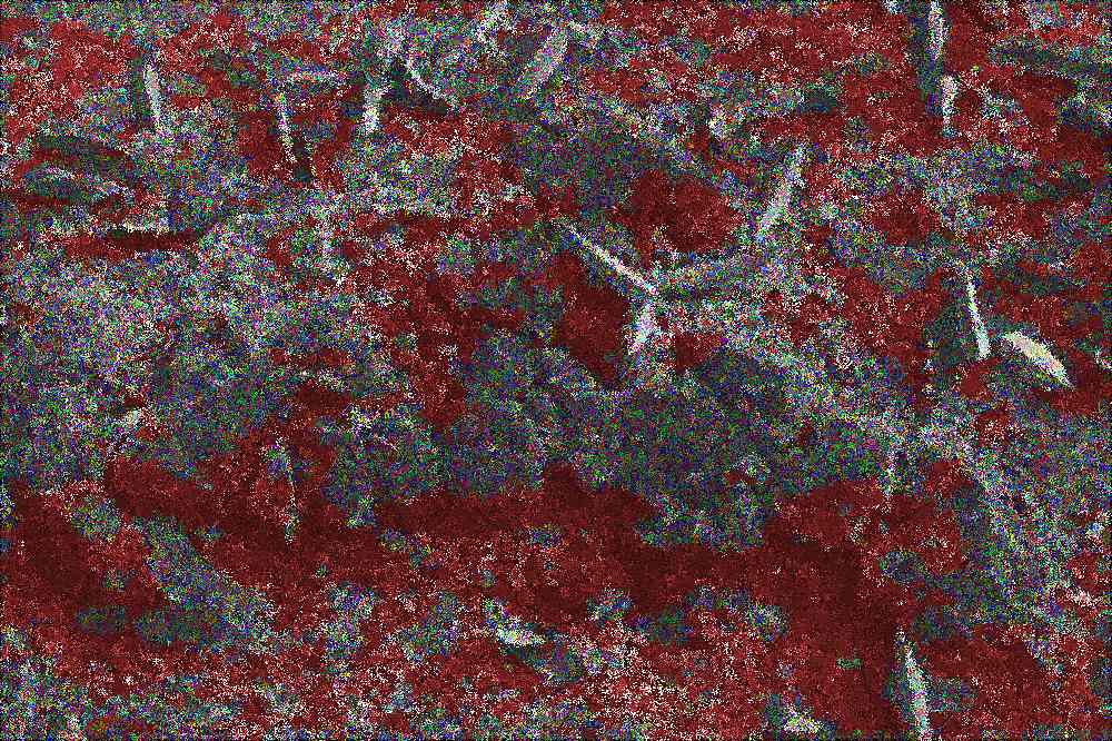 부여 고란사 부여 고란사