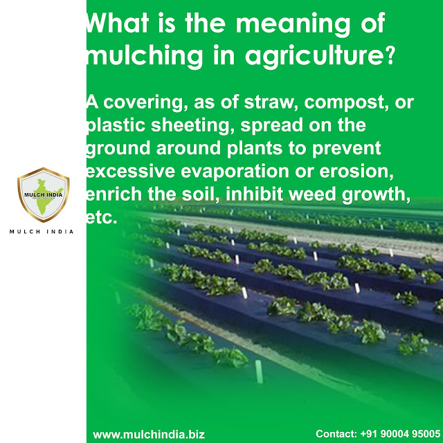 MulchIndia What is the meaning of mulching in agriculture? Mulch