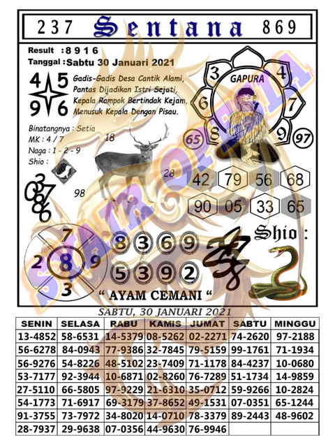 1 New Message Kode Syair Hongkong 30 Januari 2021 Forum Syair Togel Hongkong Singapura Sydney