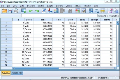 Lihat Cara Mengolah Data Dengan Spss Lengkap Berikut