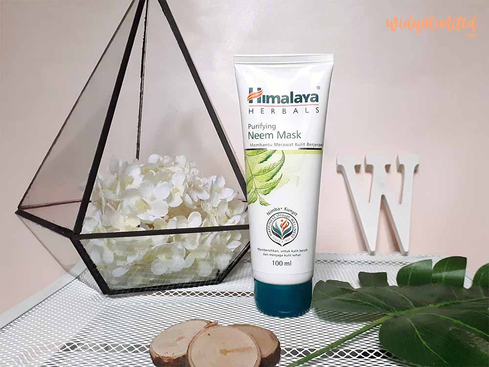 Maskeran Dengan Himalaya Herbals Neem Mask Mud Mask Dan Fruit Mask Meylisa Agustina