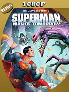 Superman: Hombre del Mañana (Superman Man of Tomorrow) (2020) REMUX [1080p] Latino [GoogleDrive] SXGO