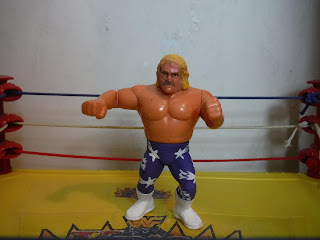 WWF Hasbro CUSTOM (incomplete) Blake Beverly action figure