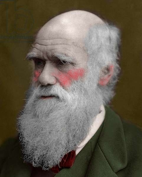 Discovering Darwin: Season 3 Episode 10: Shame, Blushing, and Guilt