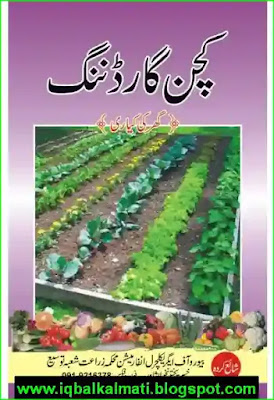 Kitchen Gardening In Pakistan