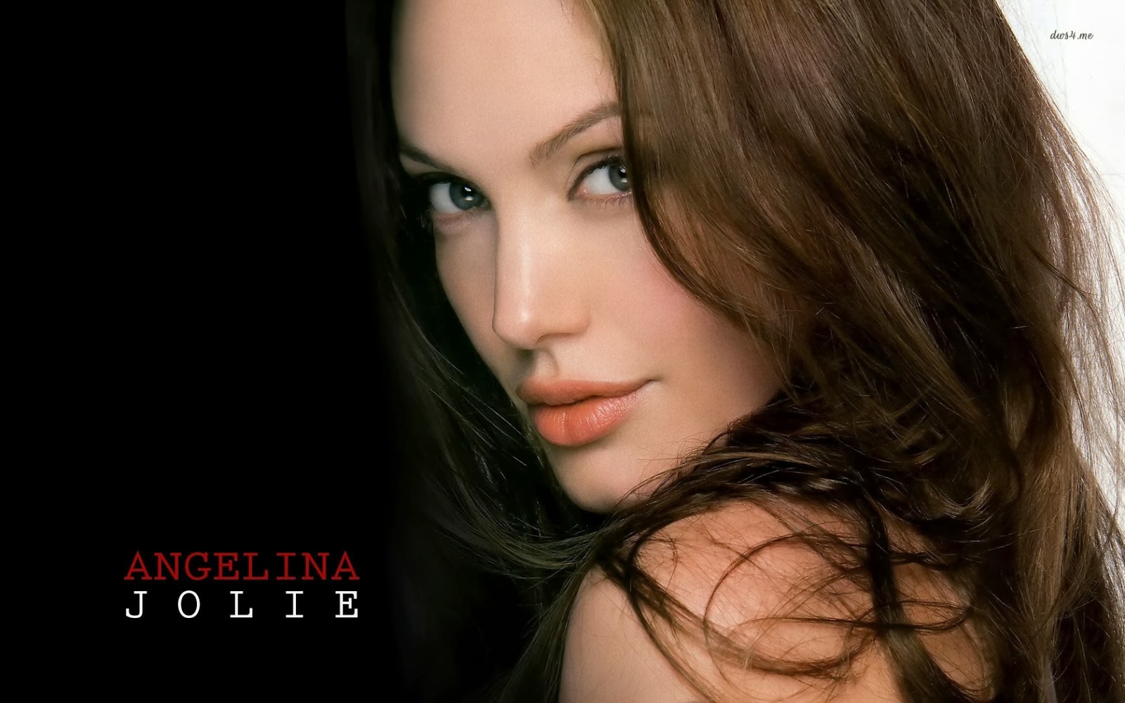 Angelina Jolie Hd Wallpaper Images Pics Hd Wallpapers Blog HD Wallpapers Download Free Images Wallpaper [wallpaper981.blogspot.com]
