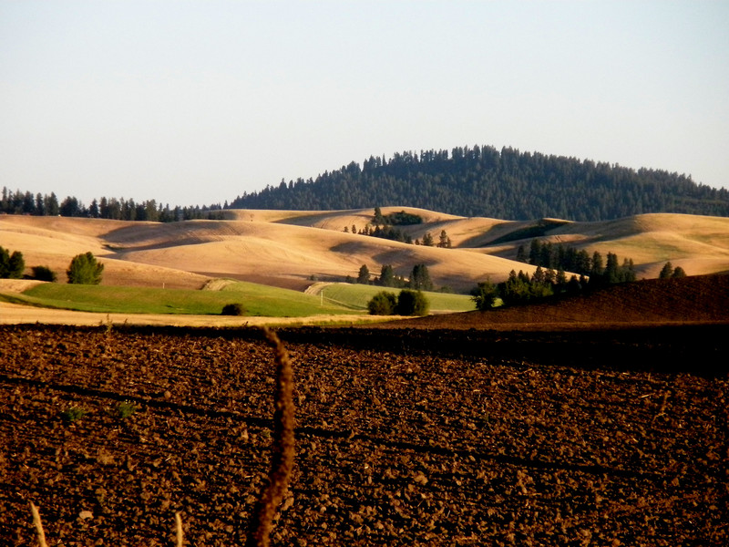 Round 1 Palouse Elk Zone vs. McCall Elk Zone IDAHOMAN