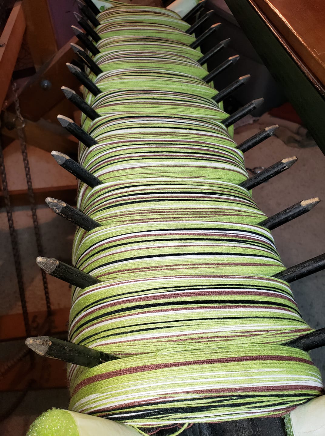 download green hornworm download green hornworm
