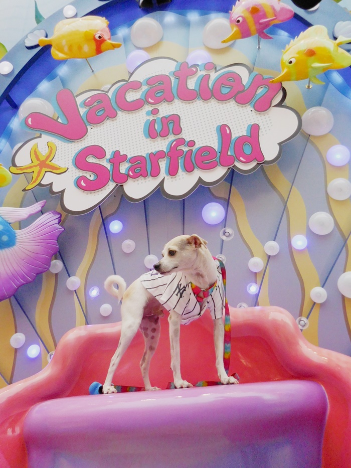 Korea's First Dog Friendly Mall Starfield Hanam — HAPPYHAZEL