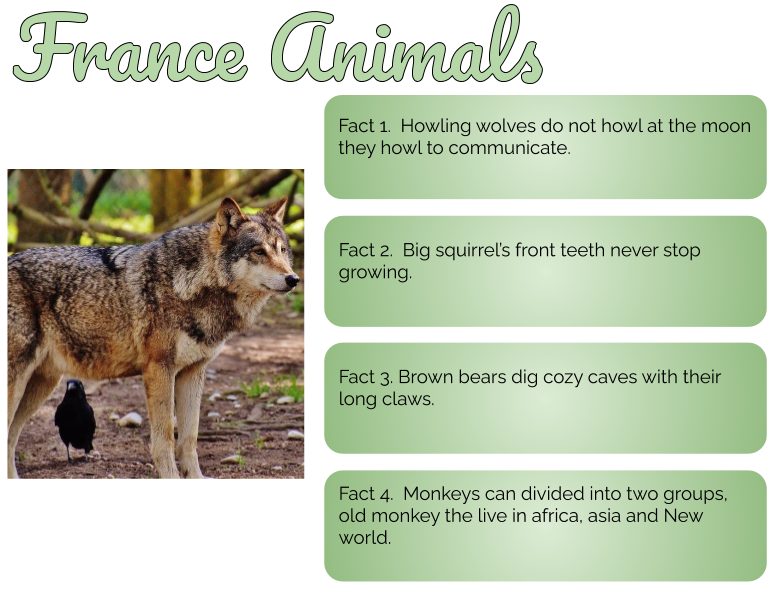Facts about animals. Animal facts 5 класс. France animals. Животные во Франции презитанциия. Animal facts 5 класс рабочая тетрадь.