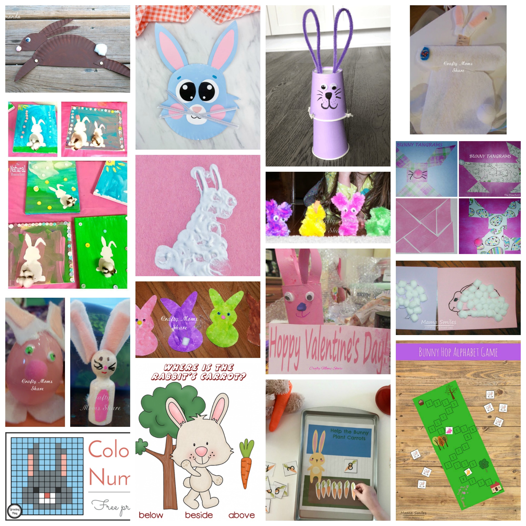 Crafty Moms Share: Cottontail Rabbits -- Who's In the Backyard? Series