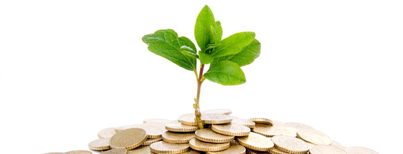 Cuanto vale un terreno que se compro por