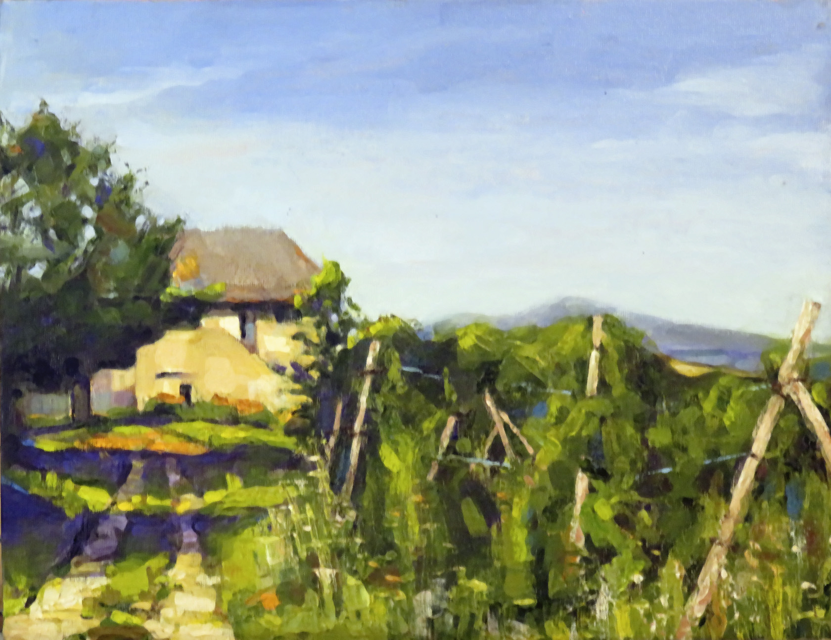 Marjorie Williamson Graphic Design