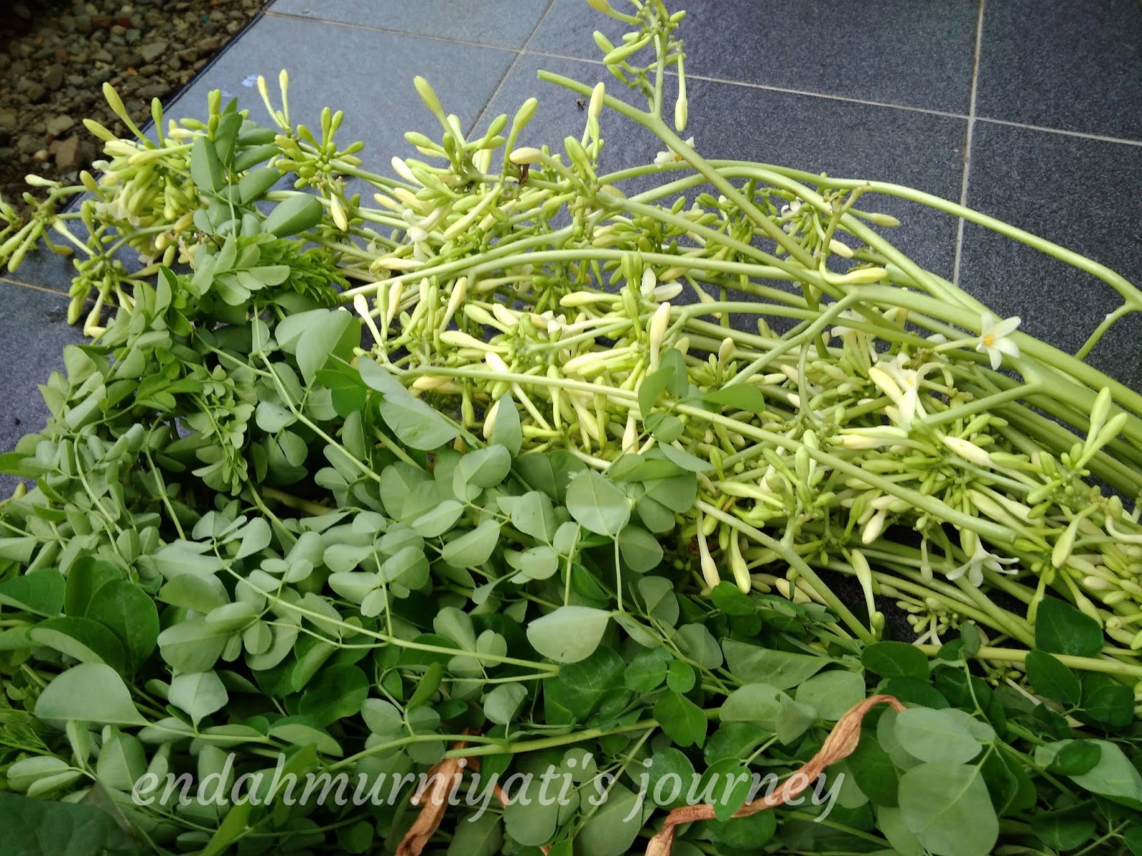 Endah Murniyati's Journey COOKING PAPAYA FLOWERS